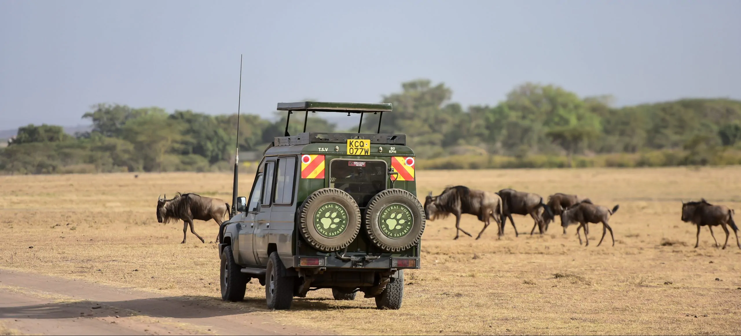 Kenya's Best National Parks for Safari Adventures