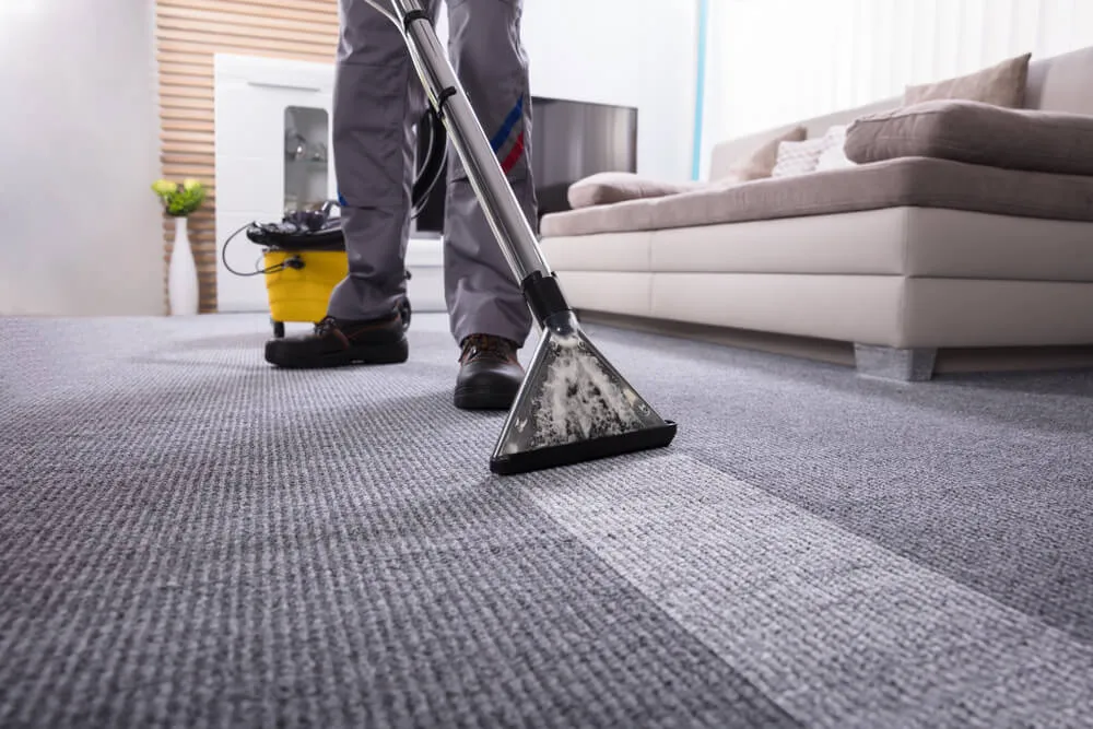 ﻿﻿How Regular Carpet Cleaning Enhances Your Home’s Visual Appeal