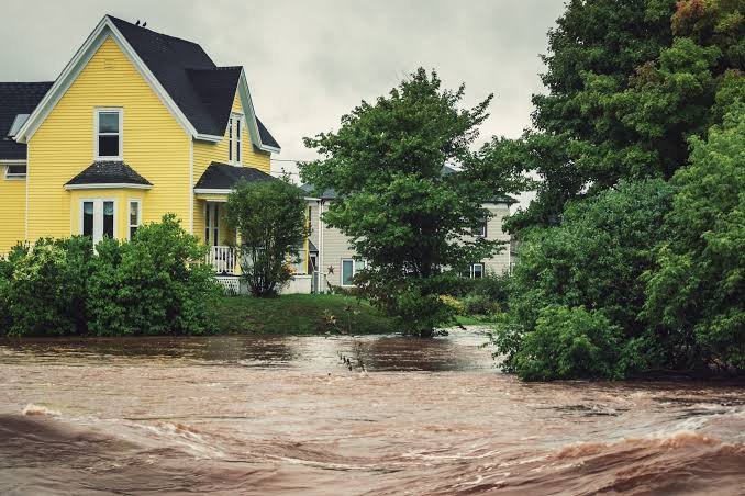 Protecting Your Home from Water Damage in Urban Climates